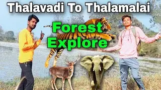 Thalavadi to Thalamalai Forest Explore PART-1 | Mano Fun Vlogs | Thalavadi | Dimbam | Sathyamangalam