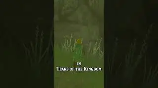 I found another SECRET CAVE in Tears of the Kingdom
