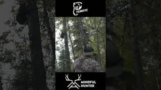 Black Bear Kill Shot With Stick Bow