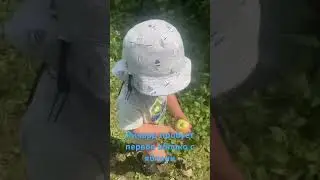 Ричард пробует яблоко
