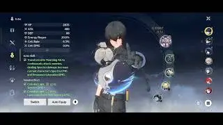 Wuthering Waves : Tune the echo in the echoes interface  quest