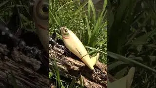 How to fish the NEW Heddon Spin'N Image from the bank!