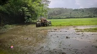 KERALA VILLAGE SHOTS. farming videos.