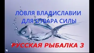 Русская рыбалка 3. Ловля владиславии для отвара силы