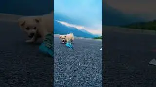 Cute...☺️