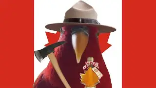 🇨🇦 wuewuewuewuewue 🇨🇦