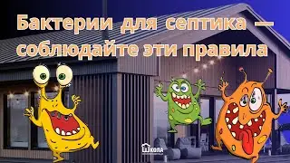 Как оставить в живых бактерии для септика и как убрать запах септика