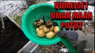 Mitäänsanomaton maanantai