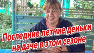 Последние летние деньки на даче в этом сезоне
