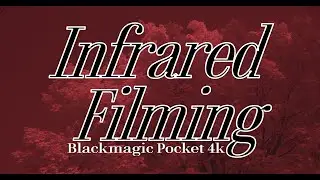 Infrared Filming - Blackmagic Pocket 4k + Hoya R72 IR Filter