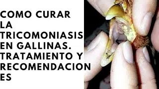 como curar la tricomoniasis en las aves