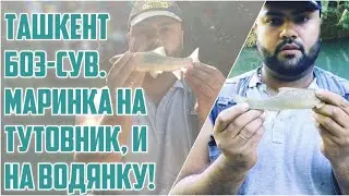 Ташкент Боз-сув. Маринка На Тутовник, и на Водянку!