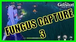 Day 2: Fungus Capture (Capture Zone 3) - Genshin Impact