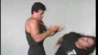 Tecnicas Wing Tsun