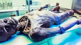 Scientists Just Sequenced the DNA of Thorin The Last Neanderthal Ever And It Rewrites History