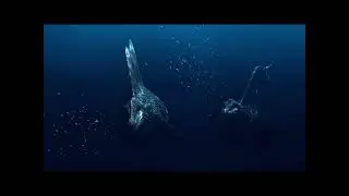 IF EARTH Was A Pulser Planet - SPACE ABILITY