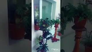 6 сентября 2024