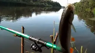на рыбалке река Медведица