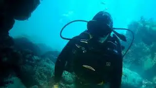 Дайвинг в Крыму Голубая Бухта Crimea diving 2021
