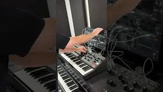 Reflections of an Arpeggiator ✨🎹✨ #synthesizer #analog #improvisation
