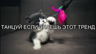 ТАНЦУЙ ЕСЛИ ЗНАЕШЬ ЭТОТ ТРЕНД 2023 ГОДА