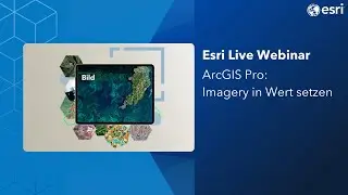 ArcGIS Pro - Imagery in Wert setzen