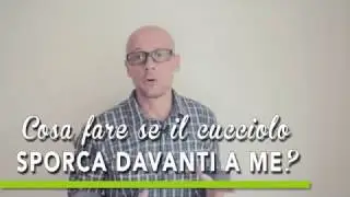 TUTORIAL BAU BOYS - Cosa fare se il cucciolo sporca davanti a me?