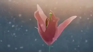 D White   No connect New Italo Disco, video version, Full HD  Clip about love 'Lamp and flower'