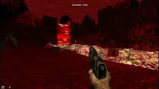Doom Wads/Mods 