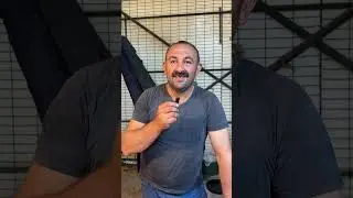 MUDANYA KAPALI PAZARYERİNİ 5 YIL SONRA DENİZ DALGIÇ HİZMETE AÇTI