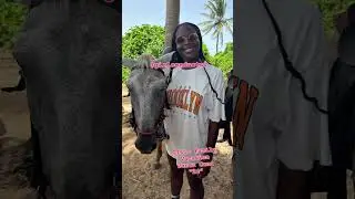 We Ridin Horses!!!