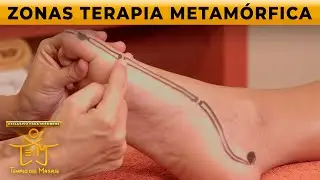 EXTRA para MIEMBROS sobre TERAPIA METAMÓRFICA