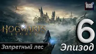 Украденная палочка и Путь в Запретный Лес ► Hogwarts Legacy/ Хогвартс Наследие PS5 #6 (Прохождение)