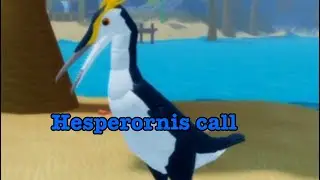 Hesperornis call