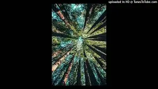 Free Kodak Black x Sauce Walka Type Beat 