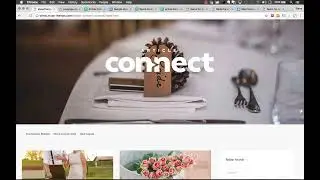 Article Connect – Disqus, Search & Final Tips | Tutorial by MuseThemes.com