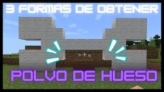 3 FORMAS DE OBTENER POLVO DE HUESO