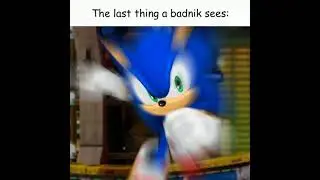 the last thing a badnik sees 