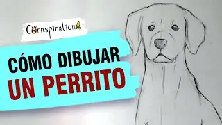 Cómo dibujar un Perrito 🐕 Paso a paso