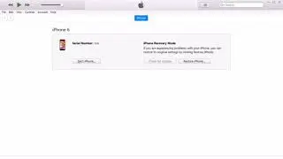 Iphone 6 disconnecting on itunes during restore