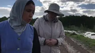 Природное земледелие- творчество и радость.