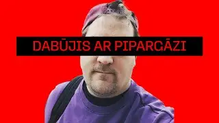 KALNIŅŠ 2