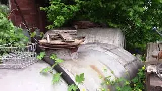 Орешник  лесной  !!