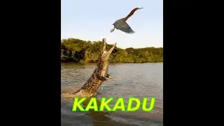 Зеленый континент - далекий и загадочный. Национальный Парк 