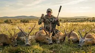 WE WENT FOR ONE - TOOK 6 | ROE DEER HUNTING