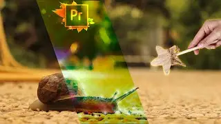 Beautifull Cartoonized Animal Videos | More beautiful than before