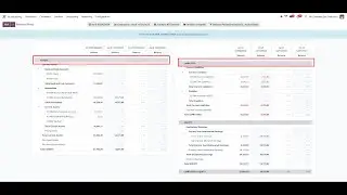 Odoo 17.1 - Split balance sheets horizontally