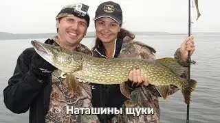 Щуки на Strike Pro Pig Shad Jr