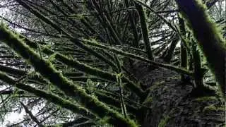Mountain Biking Whypass [Short Version]