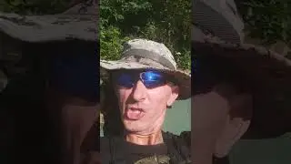 Березина. Фидер.